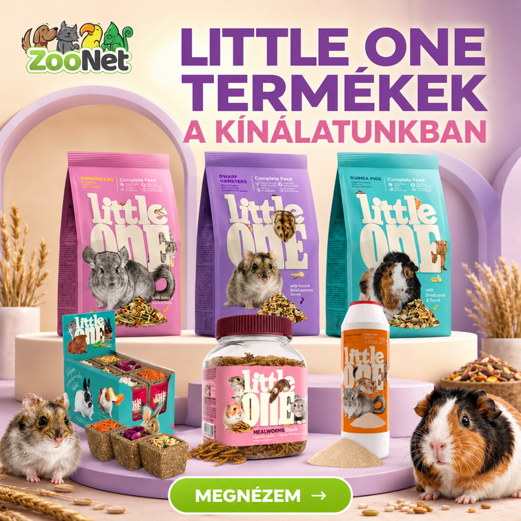 ZooNet 