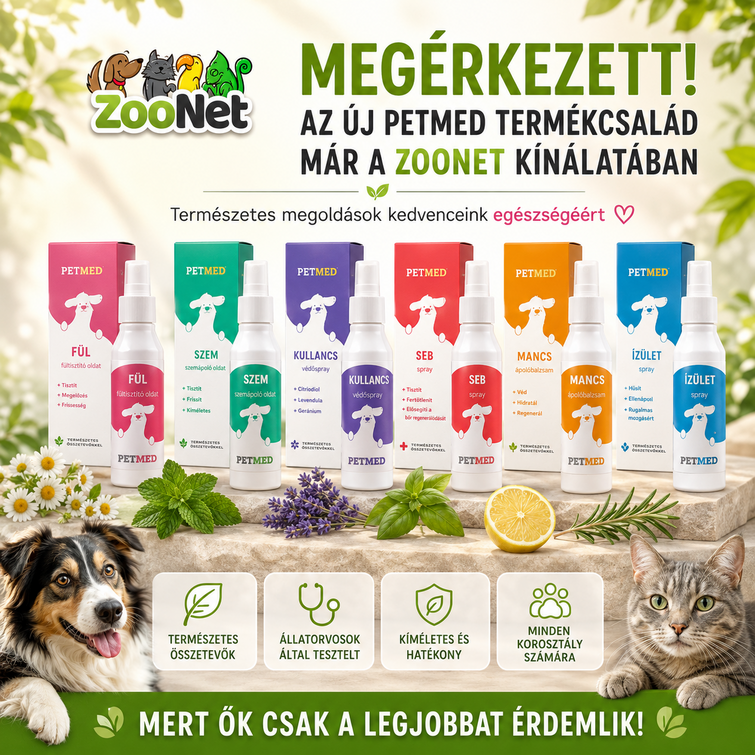 ZooNet 