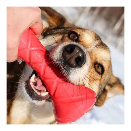 PitchDog Safe And Durable Barbell-Shaped Dog Toy | Játék (súlyzó,pink) kutyák részére - 7x19 cm