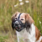 Trixie | Muzzle Flex | Ergonomikus gumikosaras szájkosár kutyáknak – fekete (L–XL), 35 cm