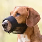 Trixie | Muzzle Loop | Jól szellőző hálós szájszíj – fekete (L–XL), 24–34 cm
