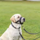Trixie | Muzzle Loop | Neoprénnel párnázott vezető szájszíj – fekete (M–L), 22–30 cm