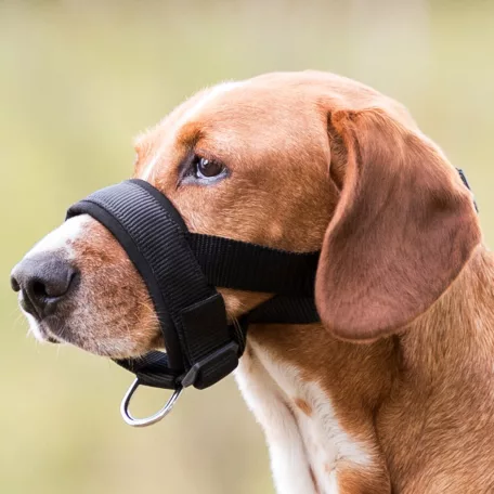 Trixie | Muzzle Loop | Neoprénnel párnázott vezető szájszíj – fekete (XL–XXL), 28–38 cm