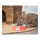 Trixie Ceramic Bowl | Mintás kerámia tál nyulak részére – 240 ml / Ø 12 cm