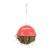 Trixie Food-Ball | Akasztható műanyag eleséglabda rágcsálók és nyulak részére – Ø 16 cm