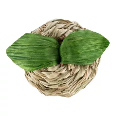   Trixie Apple with maize husk | Kukoricahéjból készült alma rágójáték rágcsálók részére – Ø 7 cm
