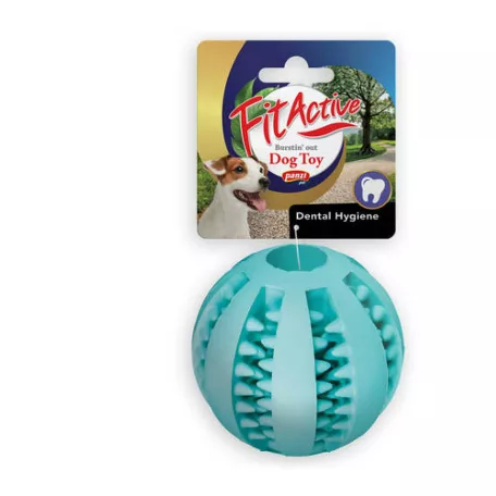  Denta Fun Ball 