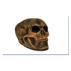 AquaDeckor |  Kerámia koponya (M) akváriumba - 15 cm