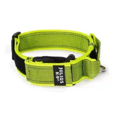   Julius-K9 | Color&Gray | Tartós, gumírozott kutyanyakörv – neon 40 mm / 38–53 cm