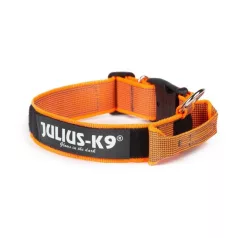   Julius-K9 | Color&Gray | Fogós, cserélhető feliratos nyakörv – piros 40 mm