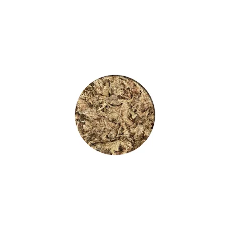 Haquoss | SPHAGNUM MOSSS| sphagnum moha  - 10 L