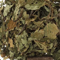   NatureLand Hazelnut Leafs & Twigs | Kiegészítő eledel rágcsálóknak | Mogyorógally és levél - 50 g