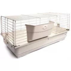 Comfy Banny 3 Smart | Prémium felszerelt kisállat 