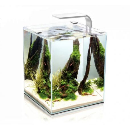 Aquael Shrimp Set Smart Day&Nnight 10 white | Nano akvárium (fehér) garnélarákoknak és kisebb halaknak - 20x20x25 cm