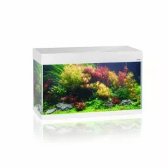 AquaEl OPTI Set | Akvárium szett (fehér) - 81x36x51 cm