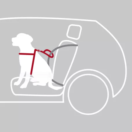 Trixie Car Harness Comfort | Biztonsági hám autóba -fekete | (S-M) kutyák részére - 40-55  cm/17 mm