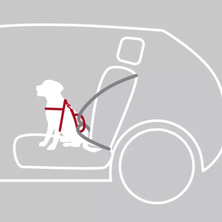 Trixie Car Harness Comfort | Biztonsági hám autóba - fekete | (L) kutyák részére - 65-88 cm / 23 mm