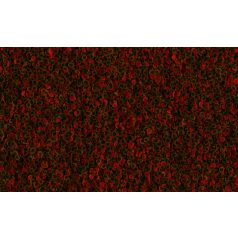   TetraPRO Energy Multi-Crisps | Prémium kíméletes eljárással készült táp extra energiával – 100 ml