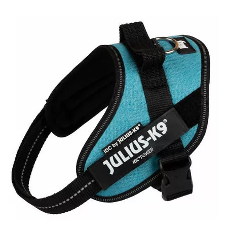 Julius-K9 | IDC Powerhám | Ergonomikus, fényvisszaverő kutyahám – türkizkék (S/Mini) 49–67 cm