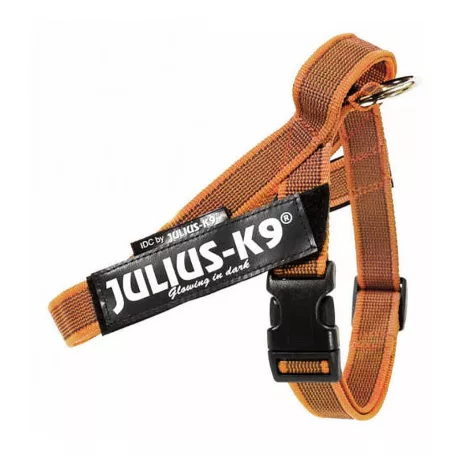 Julius-K9 | Color&Gray IDC | Könnyű, gyorsan száradó hevederhám – narancs (M/0) 58–76 cm