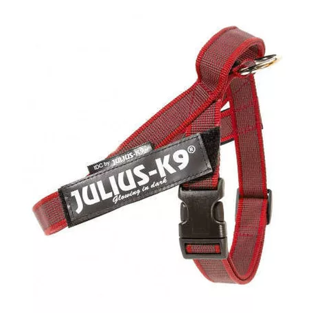Julius-K9 | Color&Gray IDC | Könnyű, gyorsan száradó hevederhám – piros (S/Mini) 49–67 cm