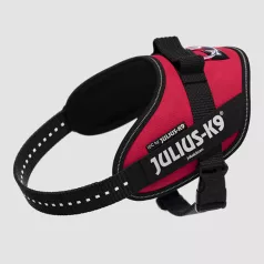   Julius-K9 | IDC Powerhám | Ergonomikus, fényvisszaverő kutyahám – Viva magenta (S/Mini) 49–67 cm