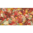 DAJANA | TROPICA basic |  Lemezes haltáp zacskós - 10 g