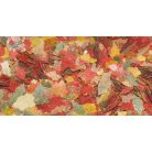 DAJANA | TROPICA basic | Lemezes haltáp vödrös - 5 L