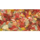 DAJANA | TROPICA basic | Lemezes haltáp vödrös - 10 L