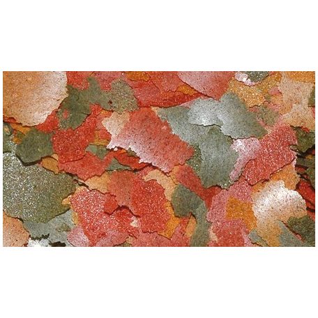 DAJANA | COLOUR  | Lemezes haltáp zacskós - 13 g