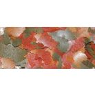 DAJANA | COLOUR | Lemezes haltáp - 100 ml