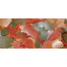 DAJANA | COLOUR | Lemezes haltáp - 250 ml