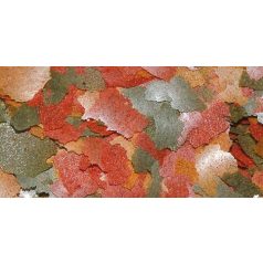 DAJANA | COLOUR | Lemezes haltáp vödrös - 10 L