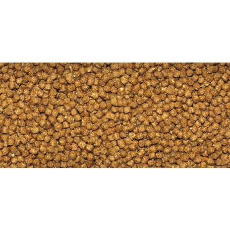 DAJANA | GOLD | Granulátum - 100 ml