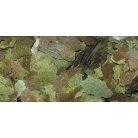 DAJANA | FLORA | Lemezes haltáp - 100 ml