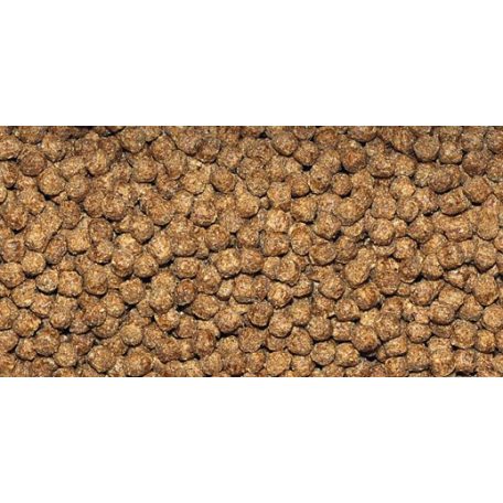 DAJANA | CICHLID | Granulátum, sügér haltáp - 1000 ml