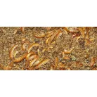 DAJANA | NATURAL MIX | Természetes keverékű  táp - 100 ml