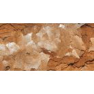 DAJANA | TUBIFEX | Lemezes haltáp - 100 ml