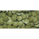 DAJANA | TABLETY | Tabletta süllyedő, haltáp - 250 ml