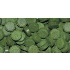 DAJANA | TABLETY | Tabletta akvárium üvegfalára ragasztható, haltáp - 100 ml