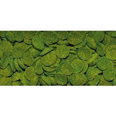   DAJANA | SPIRULINA WAFERS | Süllyedő, spirulina haltáp - 25 g