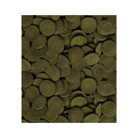 Dajana | Mini Spirulina Wafers | Mini spirulina, haltáp - 250 ml