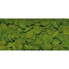 DAJANA | SPIRULINA WAFERS | Süllyedő, spirulina haltáp - 250 ml