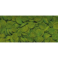   DAJANA | SPIRULINA WAFERS | Süllyedő, spirulina haltáp - 250 ml