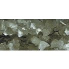 DAJANA | SPIRULINA | Immunerősítő lemezes eledel - 250 ml