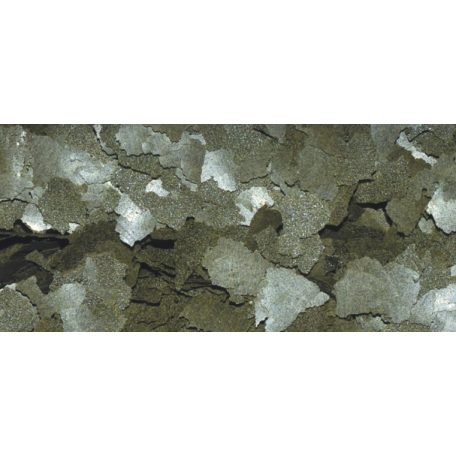 DAJANA | SPIRULINA | Immunerősítő lemezes eledel - 250 ml