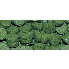DAJANA | SPIRULINA TABLETS | Spirulina haltáp - 1000 ml