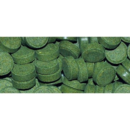 DAJANA | SPIRULINA TABLETS | Spirulina haltáp - 1000 ml