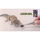 Hikari Reptile LeopaGel | Teljes értékű prémium táp - 60 g