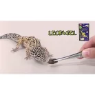 Hikari Reptile LeopaGel | Teljes értékű prémium táp - 60 g